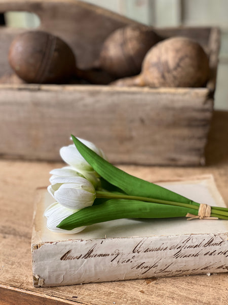 Poppet Tulip Bundle | 8.5" | Cream | NOT CURRENTLY IN STOCK - Spring 2026