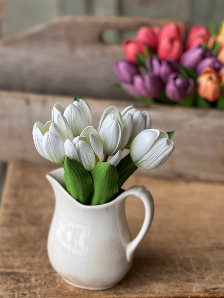 Poppet Tulip Bundle | 8.5" | Cream | NOT CURRENTLY IN STOCK - Spring 2026