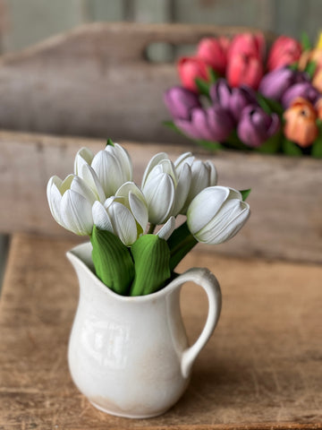 Poppet Tulip Bundle | 8.5" | Cream | NOT CURRENTLY IN STOCK - Spring 2026