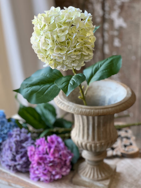 Promenade Hydrangea | 31" | Cream | NOT CURRENTLY IN STOCK-New For Spring 2026!