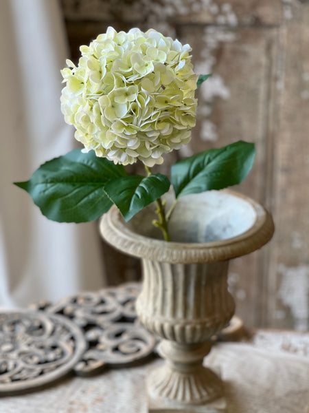 Promenade Hydrangea | 31" | Cream | NOT CURRENTLY IN STOCK-New For Spring 2026!