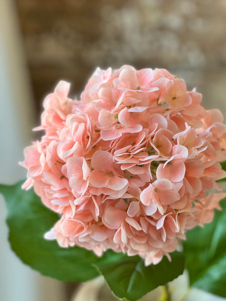Promenade Hydrangea | 31" | Blush | NOT CURRENTLY IN STOCK-New For Spring 2026!