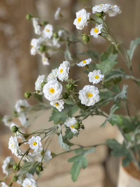 Whistable Rosette | 25" | Cream | NOT CURRENTLY IN STOCK-New For Spring 2026!