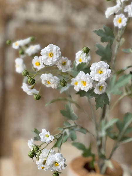 Whistable Rosette | 25" | Cream | NOT CURRENTLY IN STOCK-New For Spring 2026!