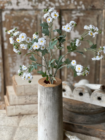 Whistable Rosette | 25" | Cream | NOT CURRENTLY IN STOCK-New For Spring 2026!