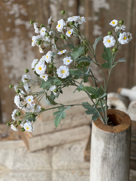 Whistable Rosette | 25" | Cream | NOT CURRENTLY IN STOCK-New For Spring 2026!