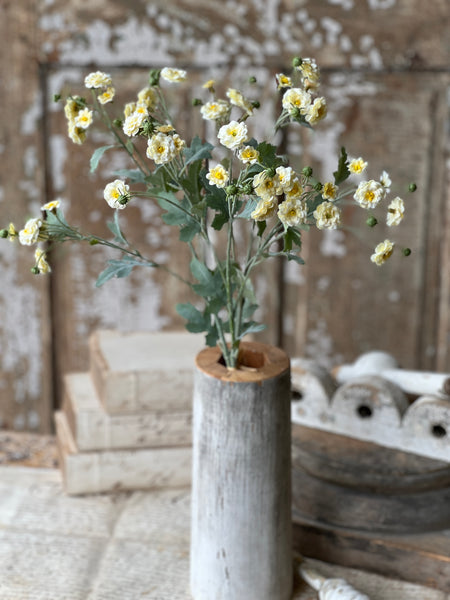 Whistable Rosette | 25" | Yellow | NOT CURRENTLY IN STOCK-New For Spring 2026!