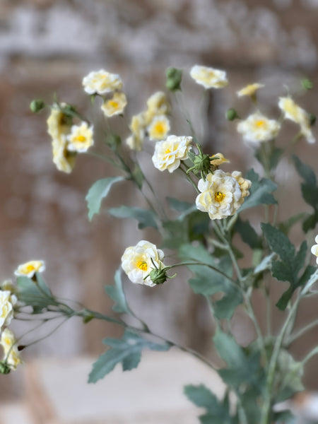 Whistable Rosette | 25" | Yellow | NOT CURRENTLY IN STOCK-New For Spring 2026!