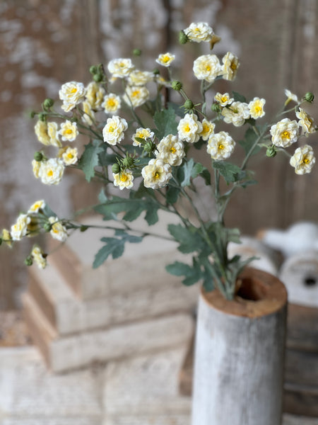 Whistable Rosette | 25" | Yellow | NOT CURRENTLY IN STOCK-New For Spring 2026!