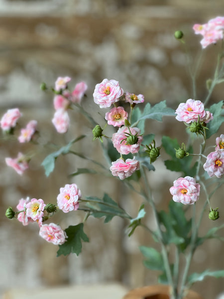 Whistable Rosette | 25" | Pink | NOT CURRENTLY IN STOCK-New For Spring 2026!