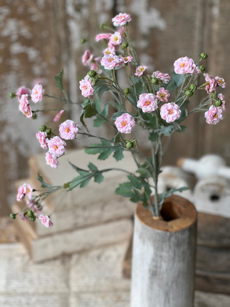 Whistable Rosette | 25" | Pink | NOT CURRENTLY IN STOCK-New For Spring 2026!