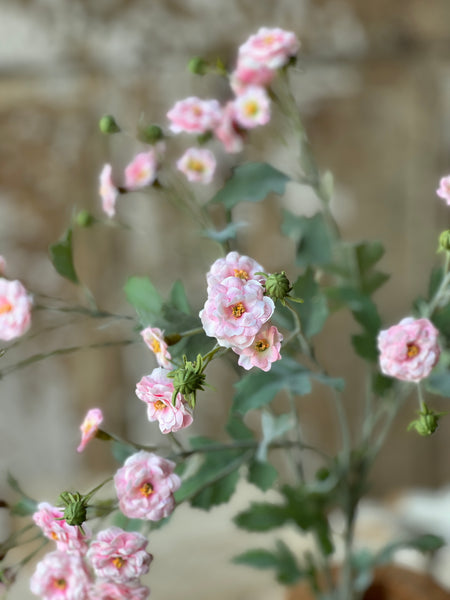 Whistable Rosette | 25" | Pink | NOT CURRENTLY IN STOCK-New For Spring 2026!