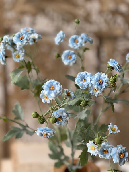 Whistable Rosette | 25" | Blue | NOT CURRENTLY IN STOCK-New For Spring 2026!