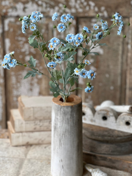 Whistable Rosette | 25" | Blue | NOT CURRENTLY IN STOCK-New For Spring 2026!