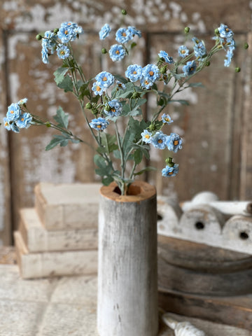 Whistable Rosette | 25" | Blue | NOT CURRENTLY IN STOCK-New For Spring 2026!