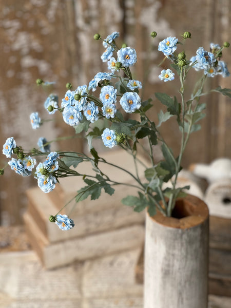 Whistable Rosette | 25" | Blue | NOT CURRENTLY IN STOCK-New For Spring 2026!