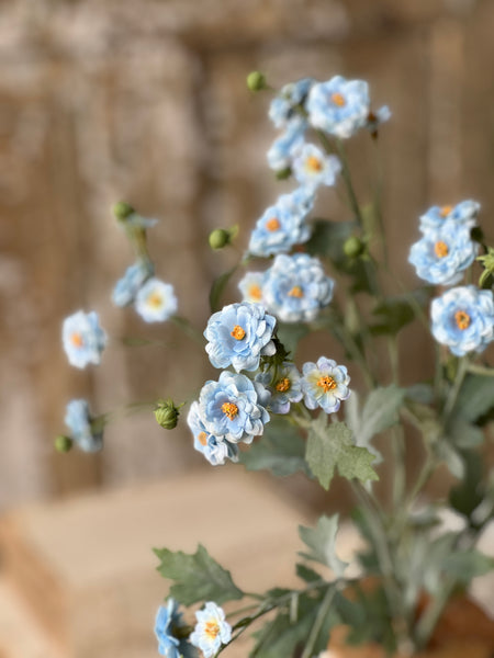 Whistable Rosette | 25" | Blue | NOT CURRENTLY IN STOCK-New For Spring 2026!