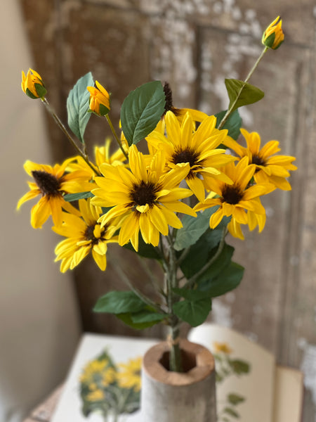 Gloriosa Daisy Bundle | 33" | NOT CURRENTLY IN STOCK-New For Spring 2026!