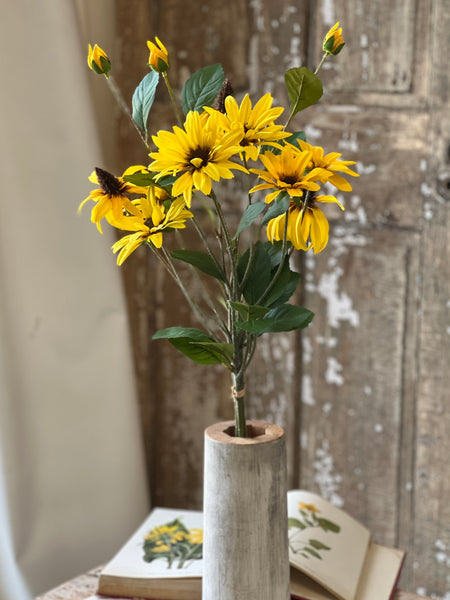 Gloriosa Daisy Bundle | 33" | NOT CURRENTLY IN STOCK-New For Spring 2026!