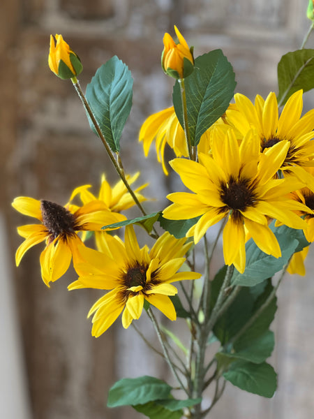 Gloriosa Daisy Bundle | 33" | NOT CURRENTLY IN STOCK-New For Spring 2026!