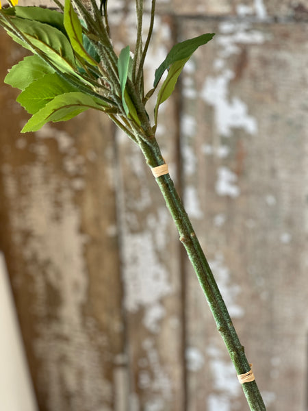 Gloriosa Daisy Bundle | 33" | NOT CURRENTLY IN STOCK-New For Spring 2026!