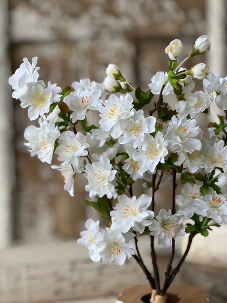 Chilton Blooms | 16" | Cream | NOT CURRENTLY IN STOCK-New For Spring 2026!