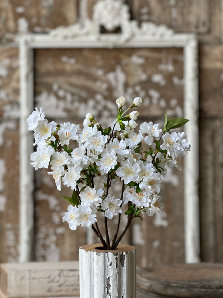 Chilton Blooms | 16" | Cream | NOT CURRENTLY IN STOCK-New For Spring 2026!