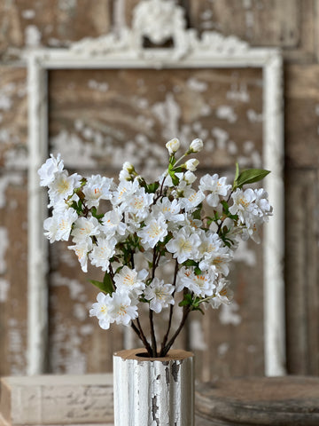 Chilton Blooms | 16" | Cream | NOT CURRENTLY IN STOCK-New For Spring 2026!