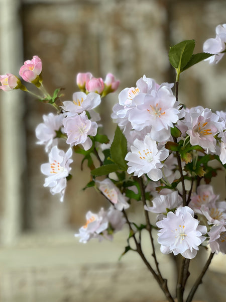 Chilton Blooms | 16" | Blush | NOT CURRENTLY IN STOCK-New For Spring 2026!