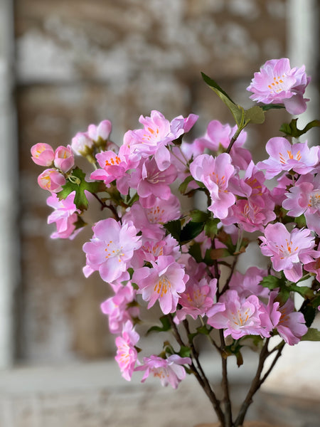 Chilton Blooms | 16" | Pink | NOT CURRENTLY IN STOCK-New For Spring 2026!