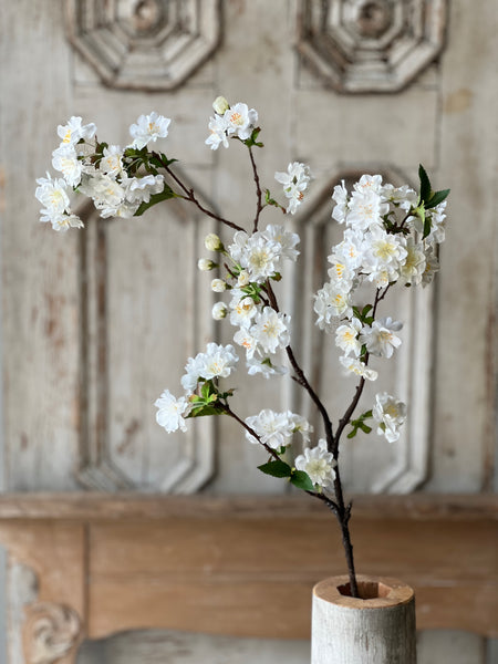 Acclamation Blooms | 36" | Cream | NOT CURRENTLY IN STOCK-New For Spring 2026!