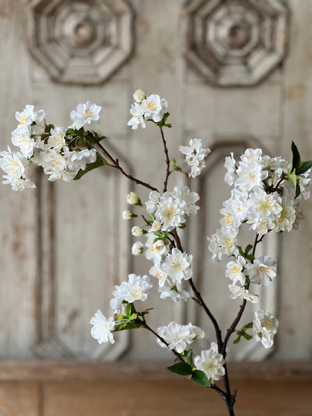 Acclamation Blooms | 36" | Cream | NOT CURRENTLY IN STOCK-New For Spring 2026!