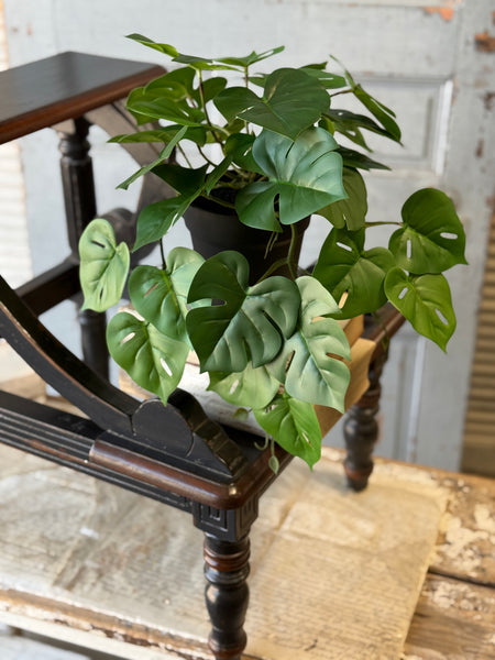 Hanging Plant | 18" | Marvel Philo | NOT CURRENTLY IN STOCK-New For Spring 2027!