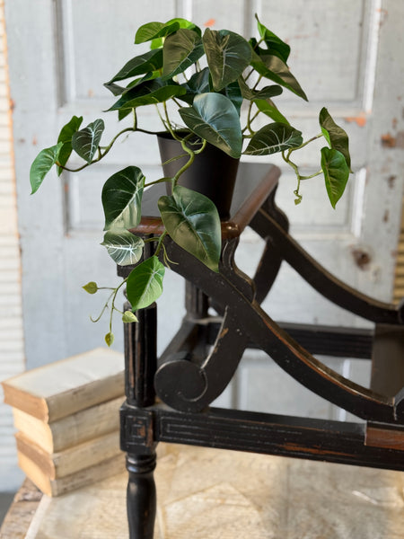 Hanging Plant | 16" | Shady Stripes | NOT CURRENTLY IN STOCK-New For Spring 2027!