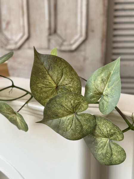 Sunsplash Caladium Garland | 4' | NOT CURRENTLY IN STOCK-New For Spring 2027!