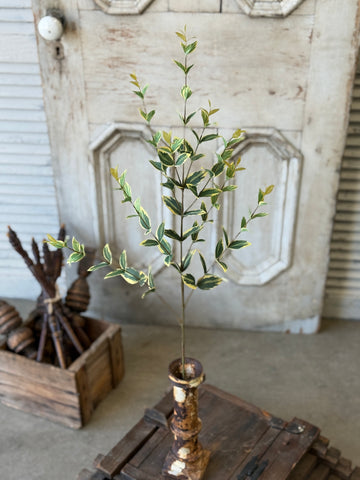 Javelin Leaf Spray | 36" | Sun Tipped | NOT CURRENTLY IN STOCK-New For Spring 2027!