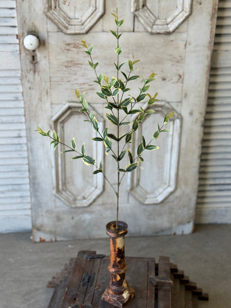 Javelin Leaf Spray | 36" | Sun Tipped | NOT CURRENTLY IN STOCK-New For Spring 2027!