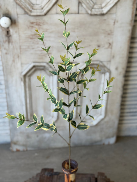 Javelin Leaf Spray | 36" | Sun Tipped | NOT CURRENTLY IN STOCK-New For Spring 2027!