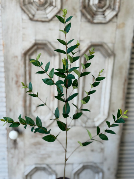 Javelin Leaf Spray | 36" | Shade | NOT CURRENTLY IN STOCK-New For Spring 2027!