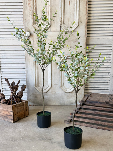 Javelin Leaf Tree | 36" | Shadow | NOT CURRENTLY IN STOCK-New For Spring 2027!