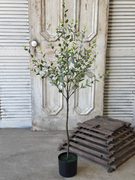 Javelin Leaf Tree | 48" | Shadow | NOT CURRENTLY IN STOCK-New For Spring 2027!
