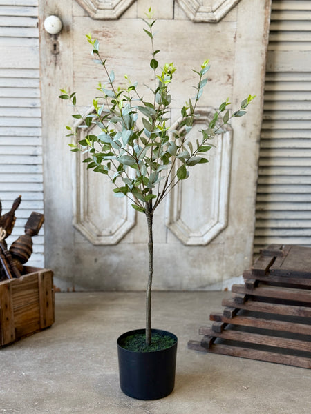 Javelin Leaf Tree | 36" | Shadow | NOT CURRENTLY IN STOCK-New For Spring 2027!