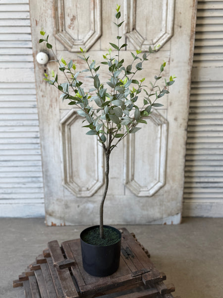 Javelin Leaf Tree | 36" | Shadow | NOT CURRENTLY IN STOCK-New For Spring 2027!