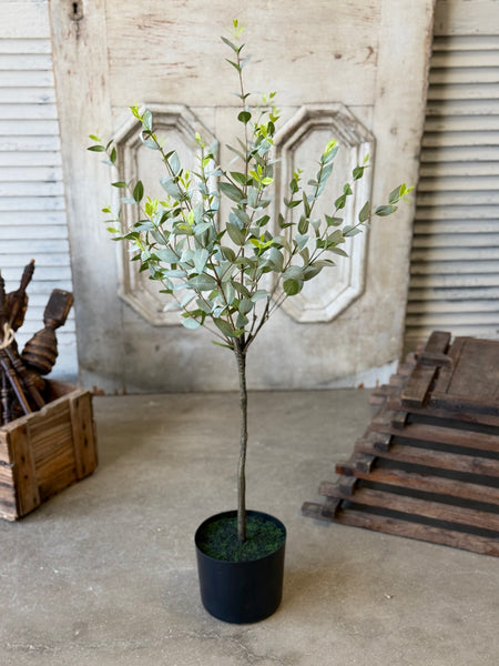 Javelin Leaf Tree | 36" | Shadow | NOT CURRENTLY IN STOCK-New For Spring 2027!