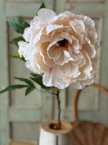 Enamor Peony Burst | 28" | Cream | NOT CURRENTLY IN STOCK-New For Spring 2027!