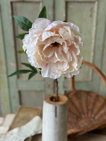 Enamor Peony Burst | 28" | Cream | NOT CURRENTLY IN STOCK-New For Spring 2027!
