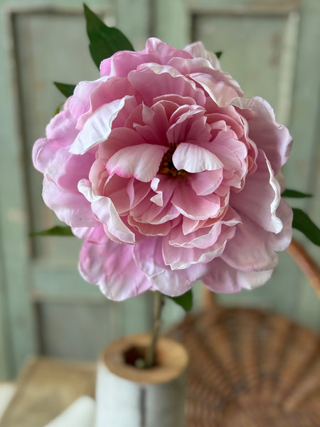 Enamor Peony Burst | 28" | Pink | NOT CURRENTLY IN STOCK-New For Spring 2027!