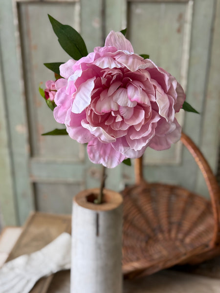 Enamor Peony Burst | 28" | Pink | NOT CURRENTLY IN STOCK-New For Spring 2027!