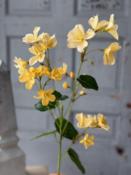 Prim & Proper Petal Spray | 34" | Glow | NOT CURRENTLY IN STOCK-New For Spring 2027!
