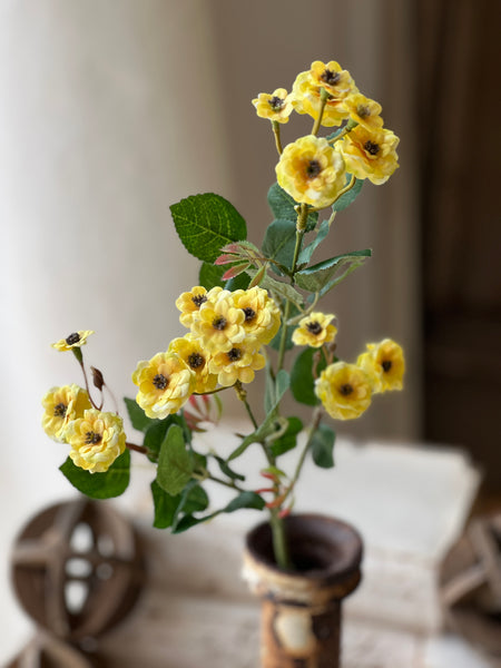 Sweetbriar Rosettes | 23.5" | Yellow